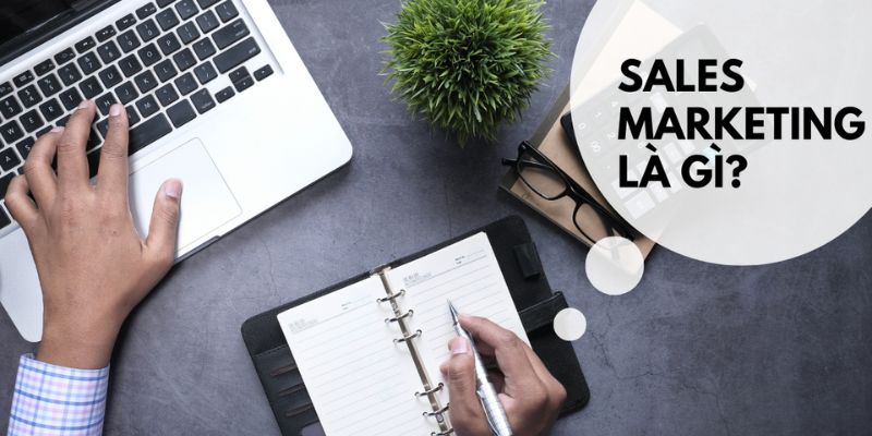 Thông tin về việc làm Sale Marketing 