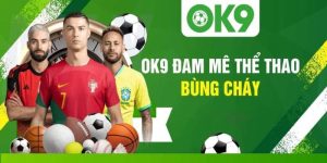 OK9 - Sân Chơi Thể Thao Uy Tín Hàng Đầu Việt Nam